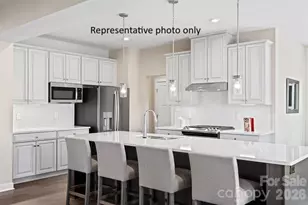 1038 Black Bear Rd, Indian Trail, NC 28079 - Photo 3
