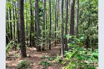 100 Shortoff Trail NW #156, Valdese, NC 28690 - Photo 5