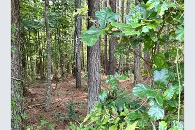 100 Shortoff Trail NW #156, Valdese, NC 28690 - Photo 3