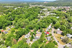 253 Brooklyn Ln, Asheville, NC 28803 - Photo 27