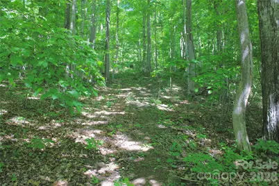 00 Wildwood Drive, Burnsville, NC 28714 - Photo 5