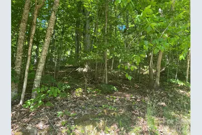 00 Wildwood Drive, Burnsville, NC 28714 - Photo 7