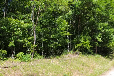 00 Wildwood Drive, Burnsville, NC 28714 - Photo 9
