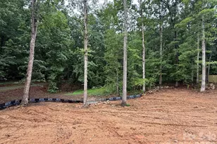307 Sowers Ferry Rd, Spencer, NC 28144 - Photo 11