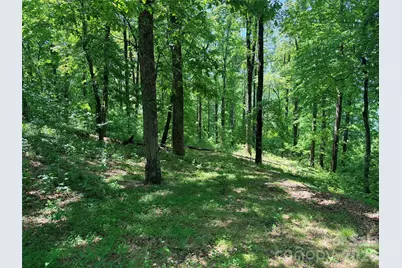 Lot 10 Timbercliff Trail, Black Mountain, NC 28711 - Photo 11