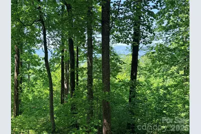 Lot 10 Timbercliff Trail, Black Mountain, NC 28711 - Photo 3