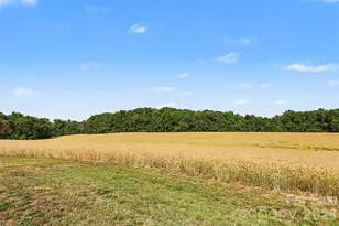 6710 Effie Whitley Rd, Monroe, NC 28112 - Photo 13
