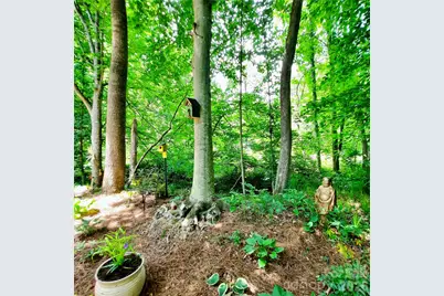 9 Firestone Court, Etowah, NC 28729 - Photo 11