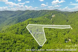 847 Old Orchard Rd, Blowing Rock, NC 28605 - Photo 5