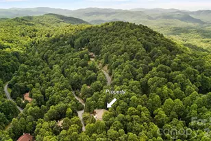 51 Duya Ct, Brevard, NC 28712 - Photo 41