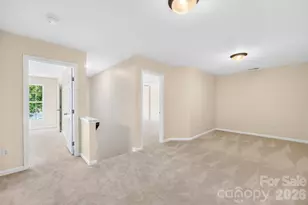 143 N Arcadian Way, Mooresville, NC 28117 - Photo 23