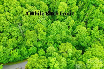 4 White Birch Court #422, Black Mountain, NC 28711 - Photo 15