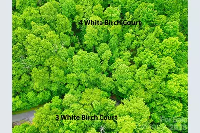 4 White Birch Court #422, Black Mountain, NC 28711 - Photo 3