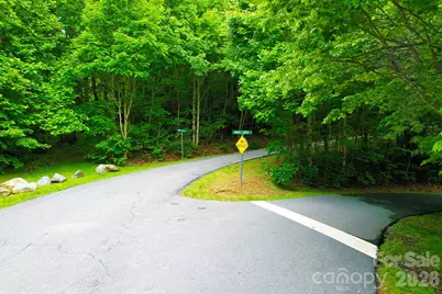4 White Birch Court #422, Black Mountain, NC 28711 - Photo 5