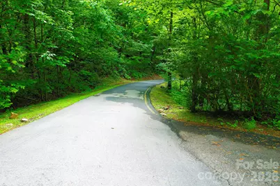 4 White Birch Court #422, Black Mountain, NC 28711 - Photo 17