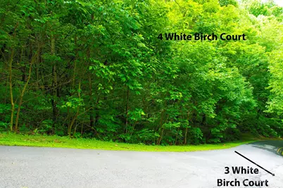 4 White Birch Court #422, Black Mountain, NC 28711 - Photo 7