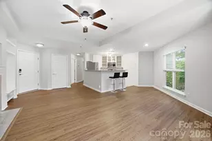 509 N Graham St, Charlotte, NC 28202 - Photo 7