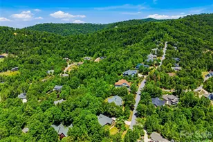18 High Bluff Dr, Weaverville, NC 28787 - Photo 47