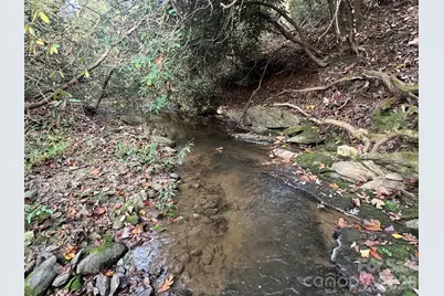 6 Dividing Ridge Trail #01, Arden, NC 28704 - Photo 11