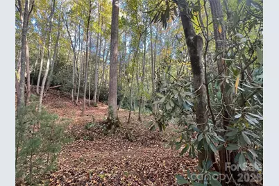 6 Dividing Ridge Trail #01, Arden, NC 28704 - Photo 5
