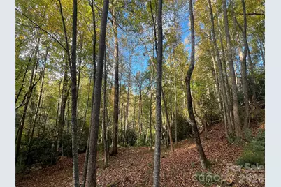 6 Dividing Ridge Trail #01, Arden, NC 28704 - Photo 15