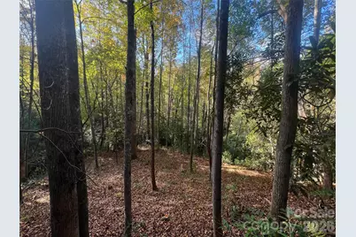 6 Dividing Ridge Trail #01, Arden, NC 28704 - Photo 3