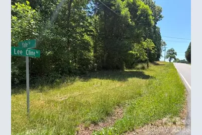 4702 Lee Cline Road, Conover, NC 28613 - Photo 3