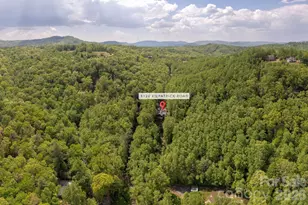 1126 Kilpatrick Rd, Hendersonville, NC 28739 - Photo 33