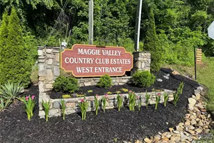2085 Laurel Road N, Maggie Valley, NC 28751 - Photo 27