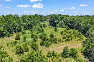 590 Miller Rd, Rutherfordton, NC 28139 - Photo 43
