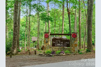 142 Wildflower Road, Spruce Pine, NC 28777 - Photo 41