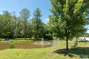743 Summerfield Pl, Flat Rock, NC 28731 - Photo 43