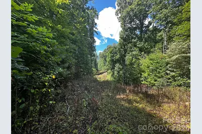 00 Lake Logan Road, Canton, NC 28716 - Photo 19
