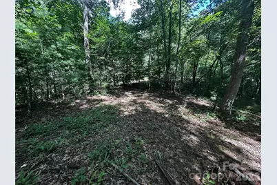 00 Lake Logan Road, Canton, NC 28716 - Photo 17