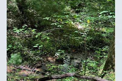 00 Lake Logan Road, Canton, NC 28716 - Photo 21