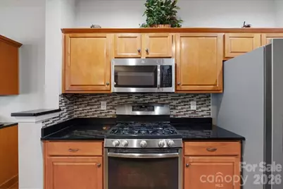 4209 Piccadilly Lane, Indian Land, SC 29707 - Photo 7