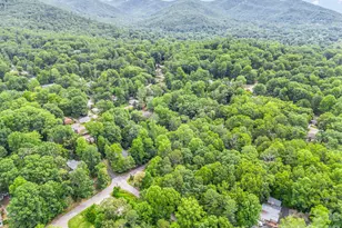 701 Azalea Ave, Black Mountain, NC 28711 - Photo 21
