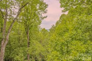 329 Mountain Crest Dr, Hendersonville, NC 28739 - Photo 15
