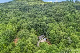 479 Camp Hill Rd, Mill Spring, NC 28756 - Photo 45