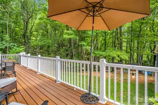 479 Camp Hill Rd, Mill Spring, NC 28756 - Photo 11