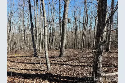 108 Woodgate Drive #94, Nebo, NC 28761 - Photo 3