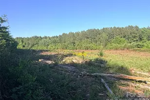 Lot 2 Doggett Grove Rd, Forest City, NC 28043 - Photo 1