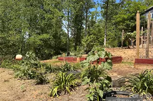 2825 Harrell Hill Rd, Bakersville, NC 28705 - Photo 29