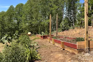 2825 Harrell Hill Rd, Bakersville, NC 28705 - Photo 25