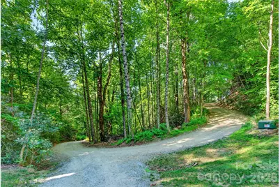 215 David Ridge Road, Black Mountain, NC 28711 - Photo 45