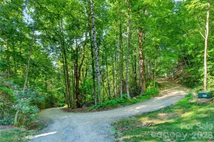 215 David Rdg Rd, Black Mountain, NC 28711 - Photo 45