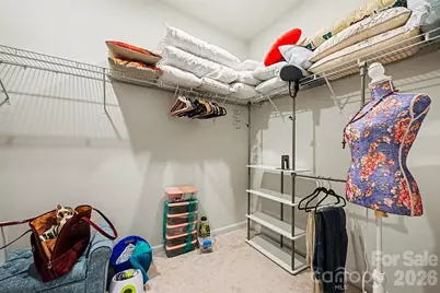 14204 Southbridge Forest Drive, Charlotte, NC 27273 - Photo 25