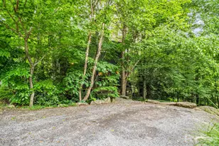 46 Cheshire Dr, Black Mountain, NC 28711 - Photo 41