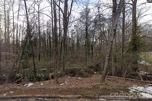 0 Briarcliff Rd, Rockwell, NC 28138 - Photo 1