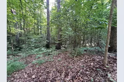 0 Briarcliff Road, Rockwell, NC 28138 - Photo 15